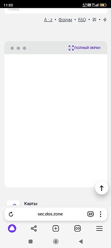 Screenshot_2025-02-11-11-00-24-267_com.yandex.browser